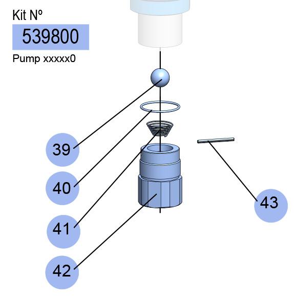 PM35-8:1 FOOT VALVE KIT (BSP)