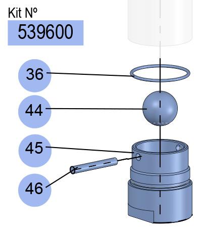 PM45-6:1 / PM60-12:1 FOOT VALVE KIT (BSP)