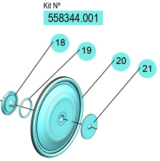 01] (PTFE) DF-30 FLEXIBLE DIAPHRAGMS KIT, 558344.001 CODE