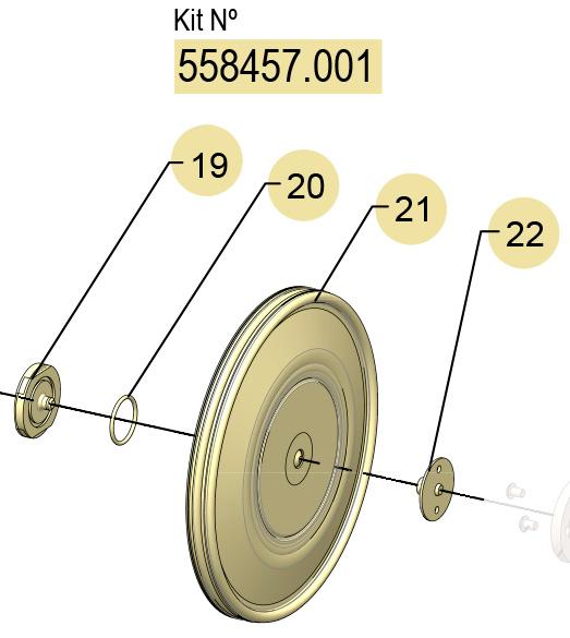 01] (NBR) DF-100 DIAPHRAGMS KIT, 558457.001 CODE